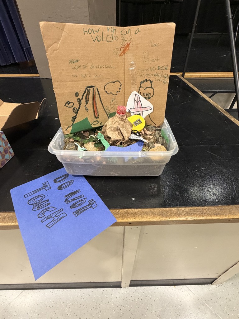 Elementary Science Fair