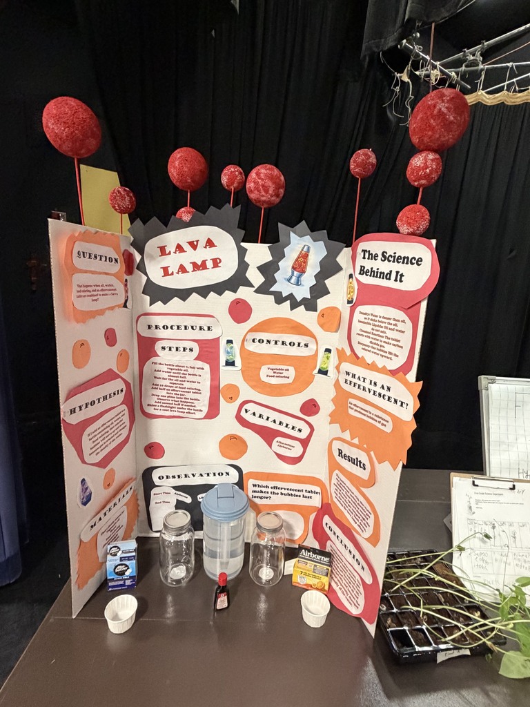 Elementary Science Fair