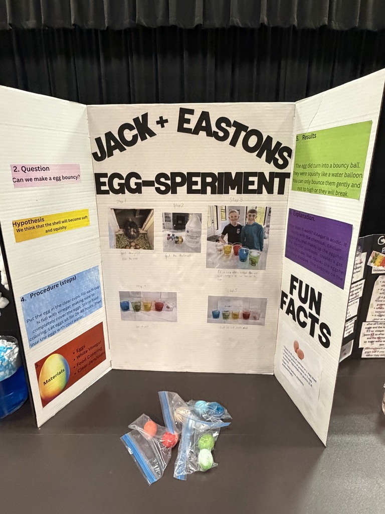 Elementary Science Fair