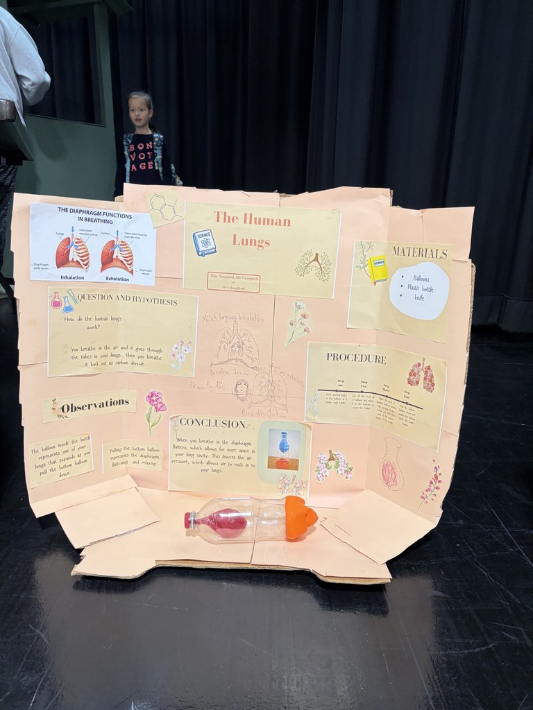 Elementary Science Fair