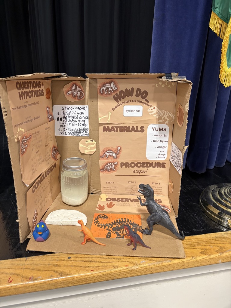 Elementary Science Fair