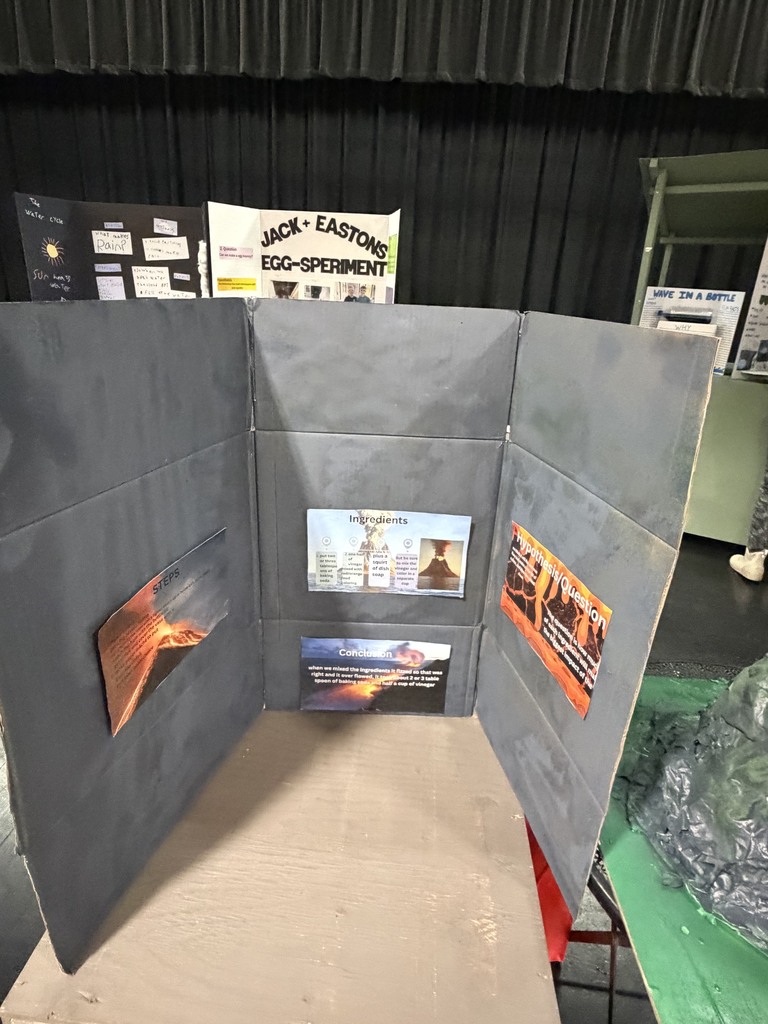 Elementary Science Fair