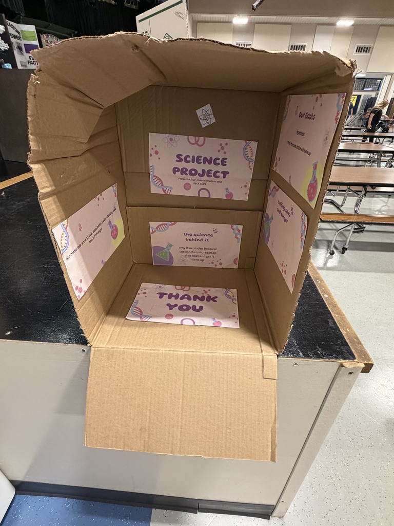 Elementary Science Fair