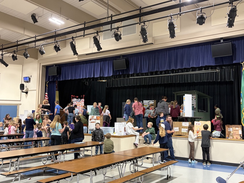 Elementary Science Fair