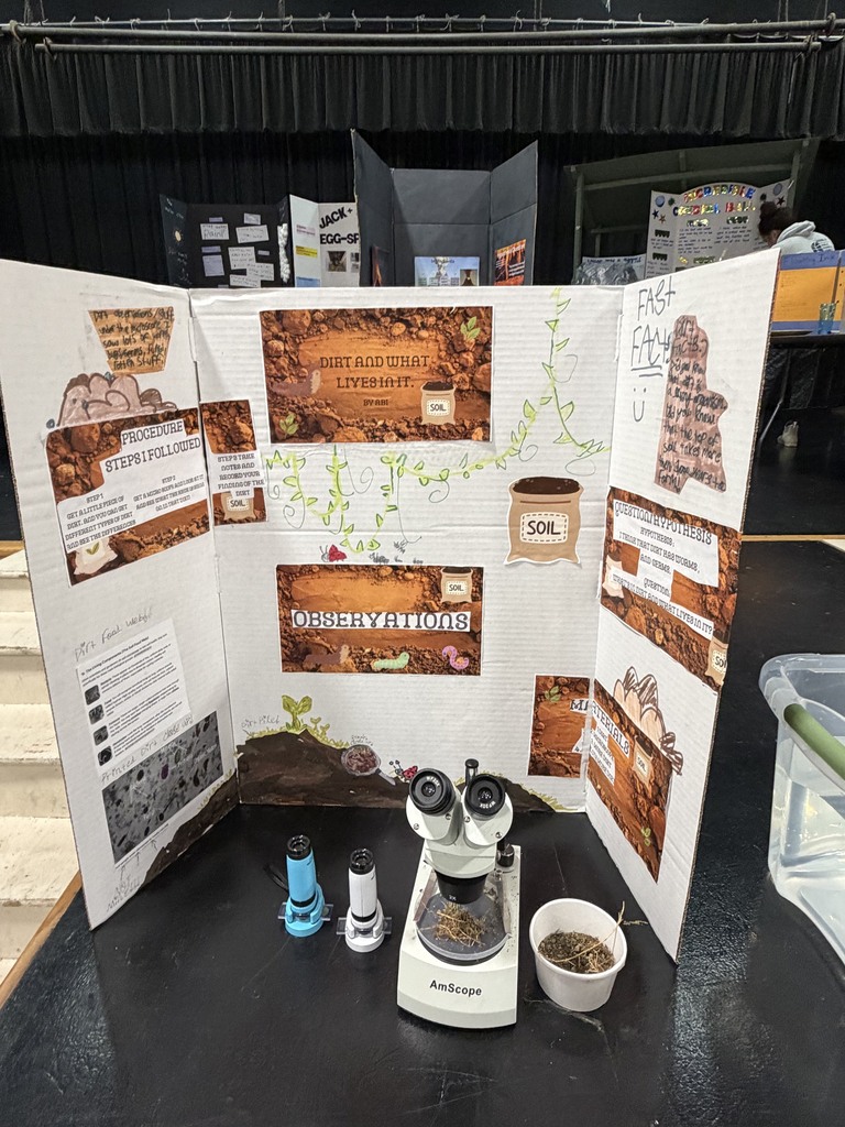 Elementary Science Fair