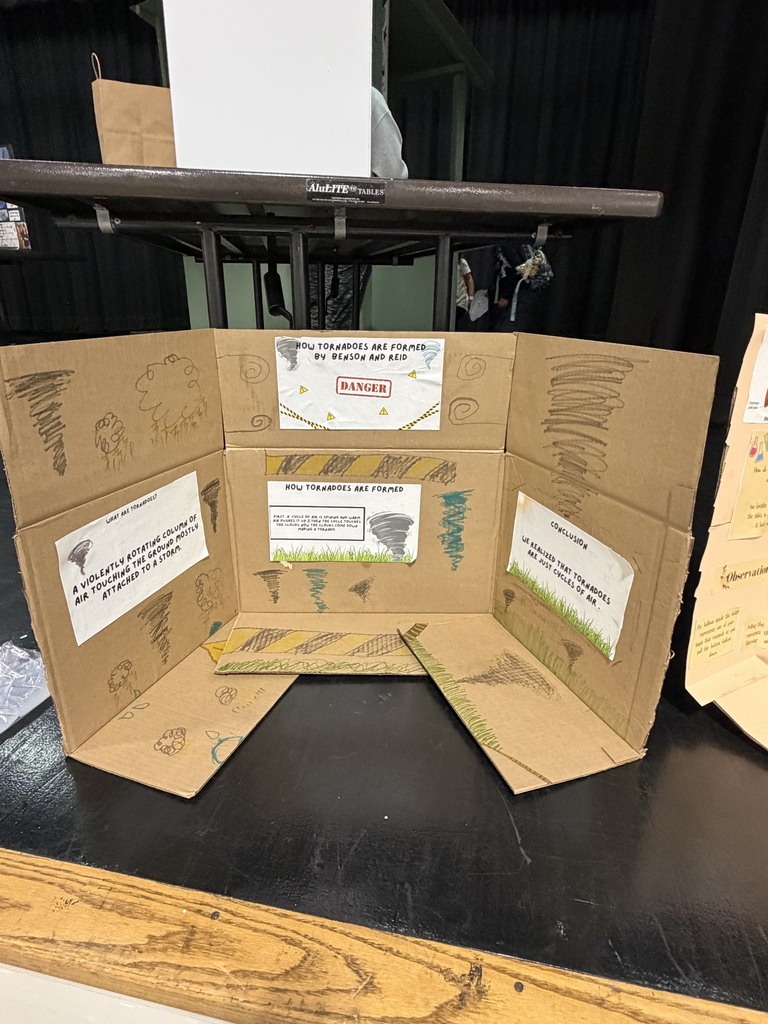 Elementary Science Fair