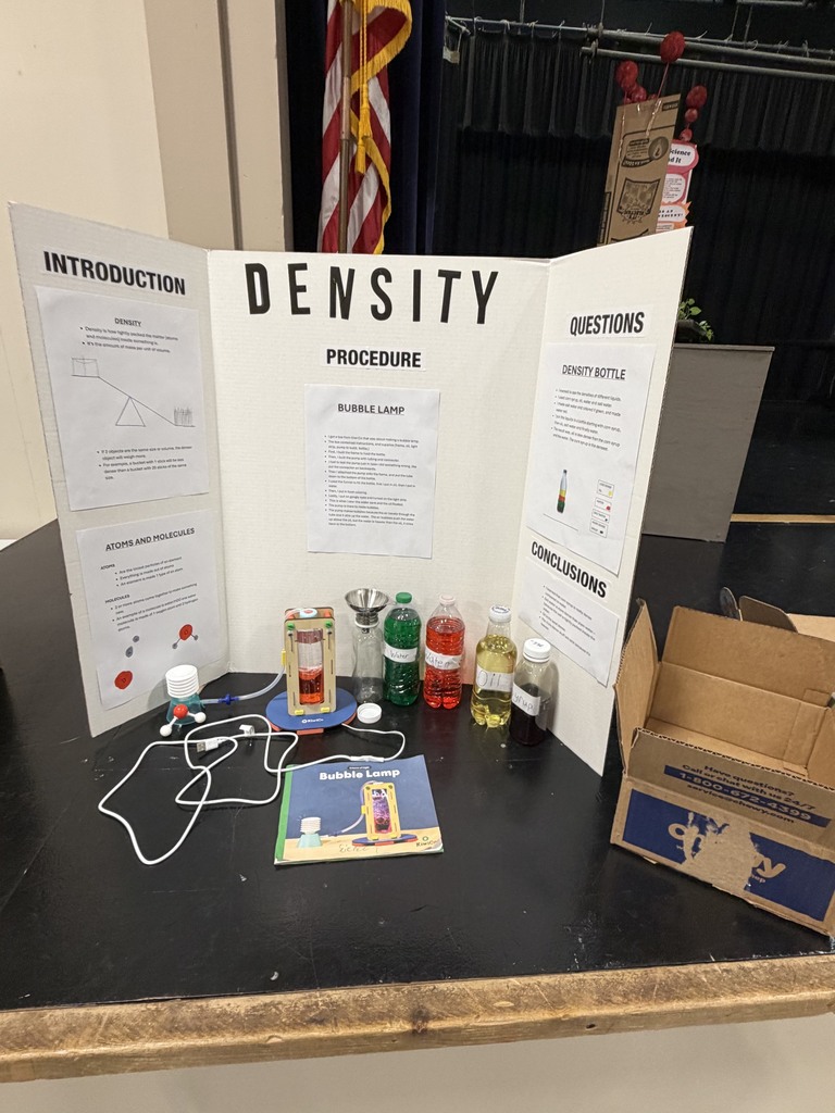 Elementary Science Fair