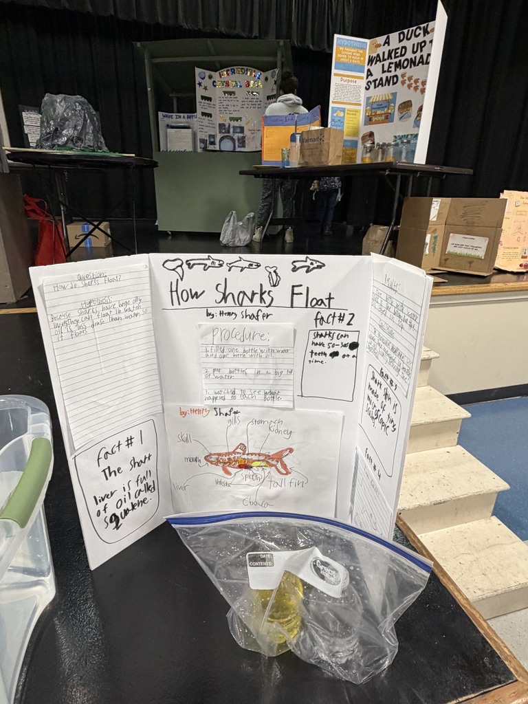 Elementary Science Fair