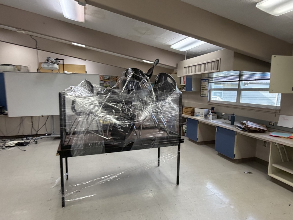 Senior Prank