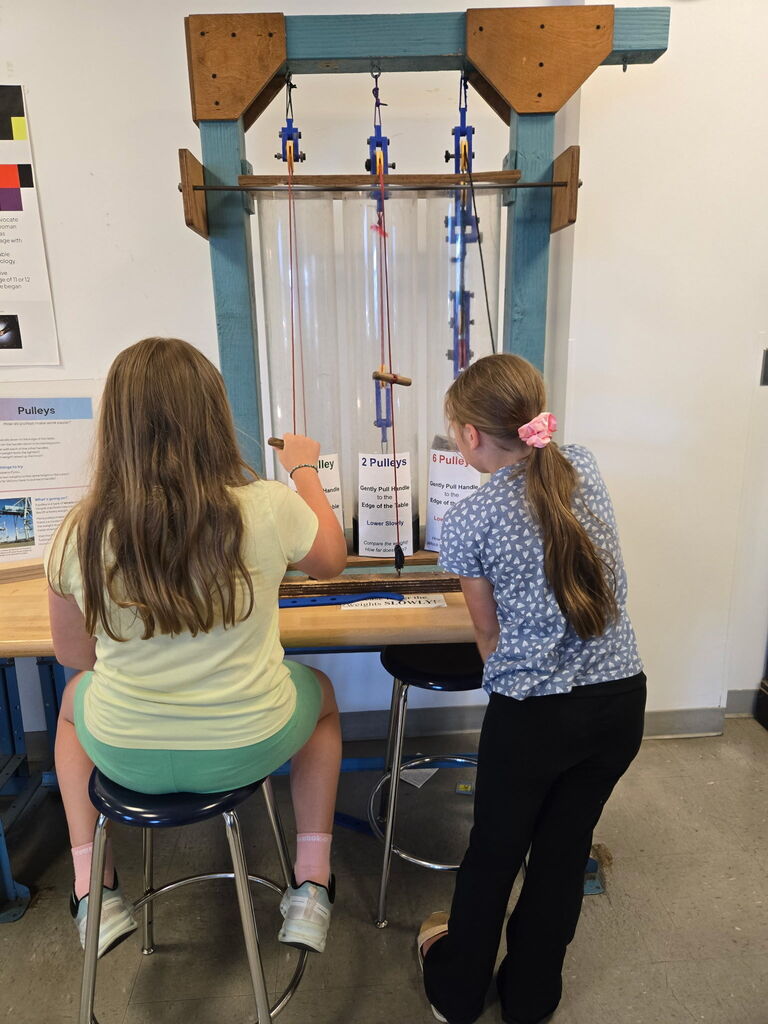 OMSI pictures