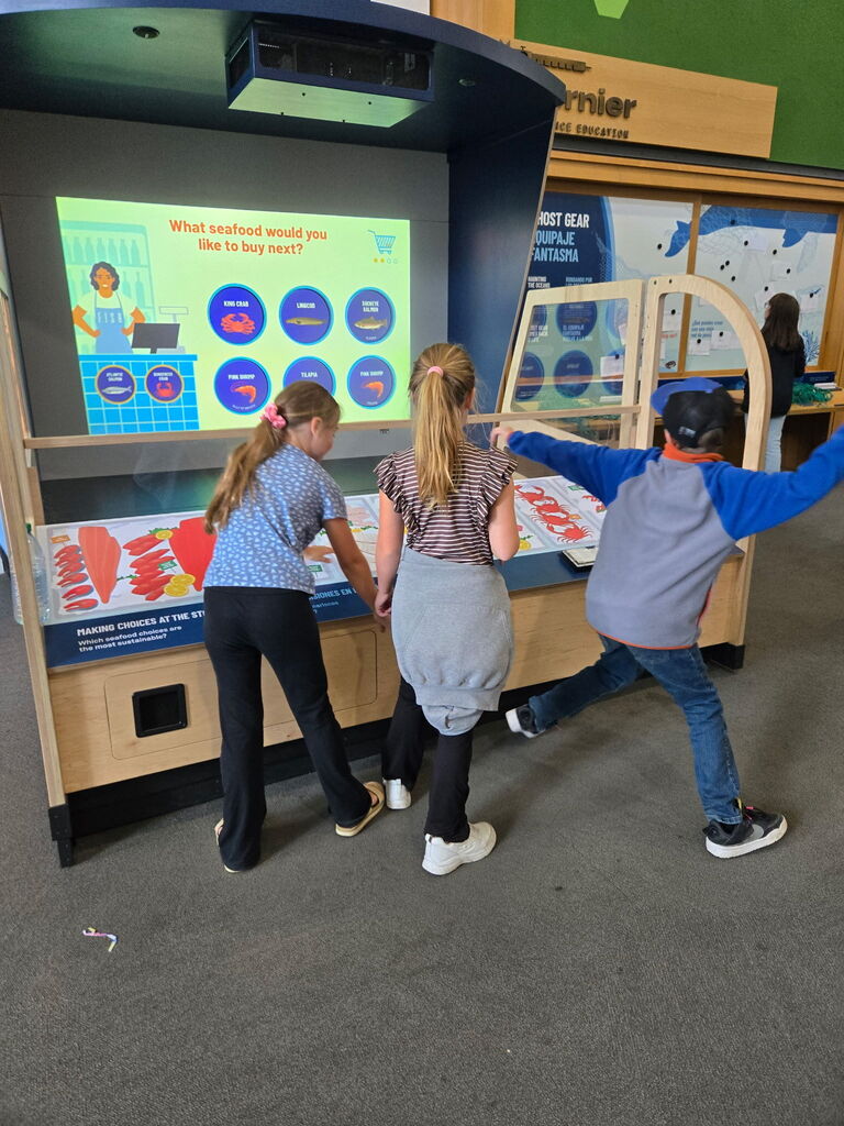 OMSI pictures