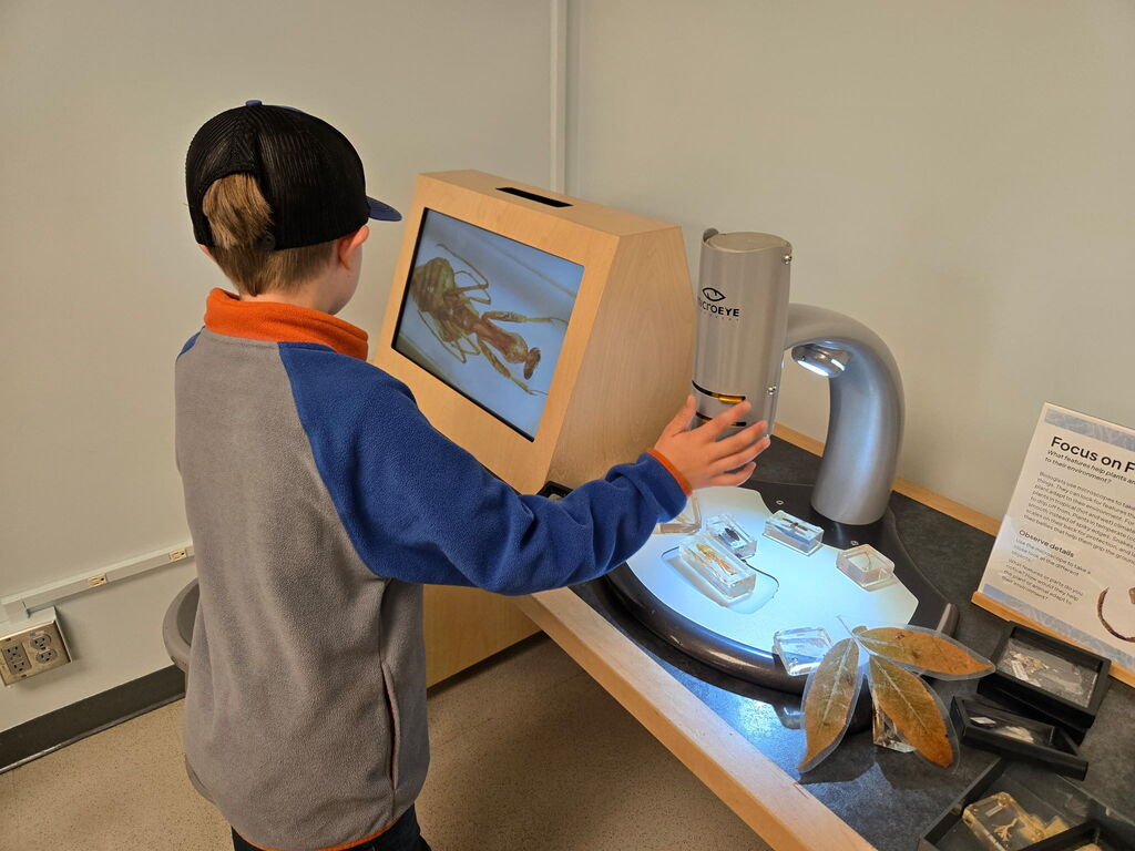 OMSI pictures