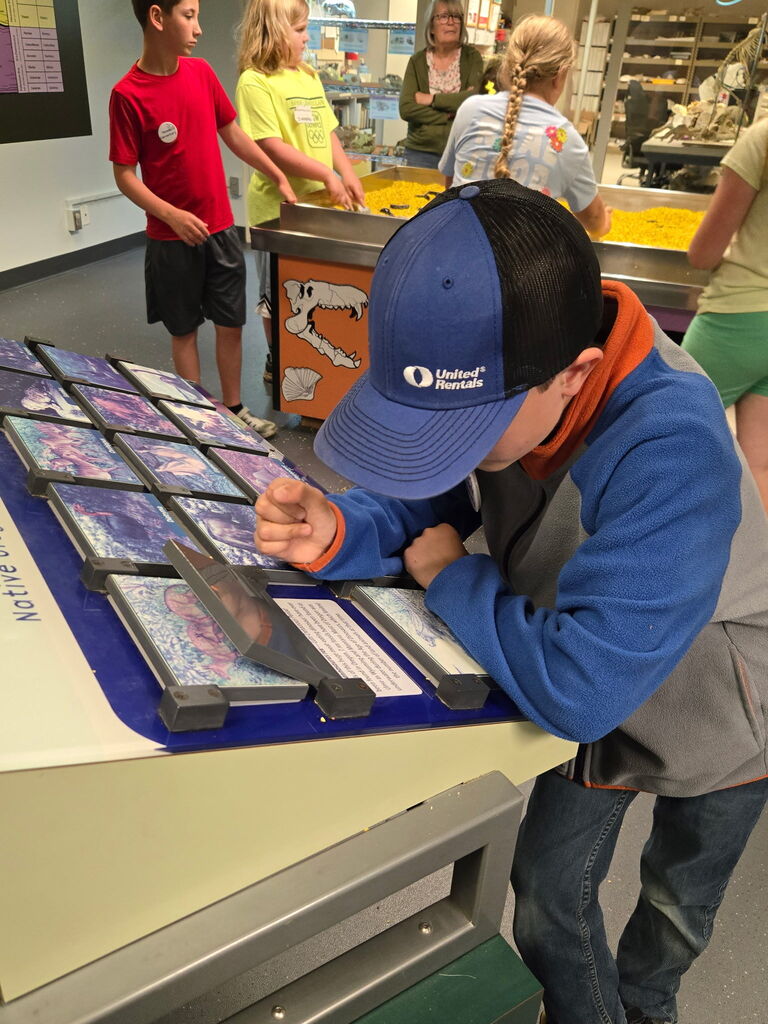 OMSI pictures