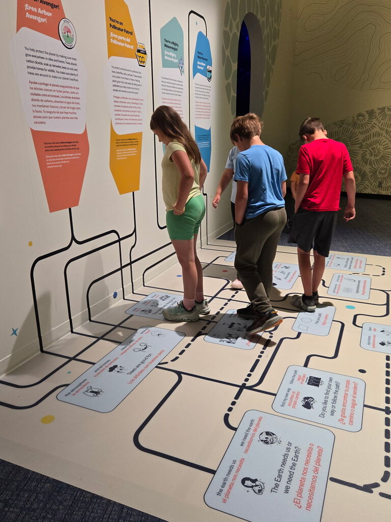 OMSI pictures