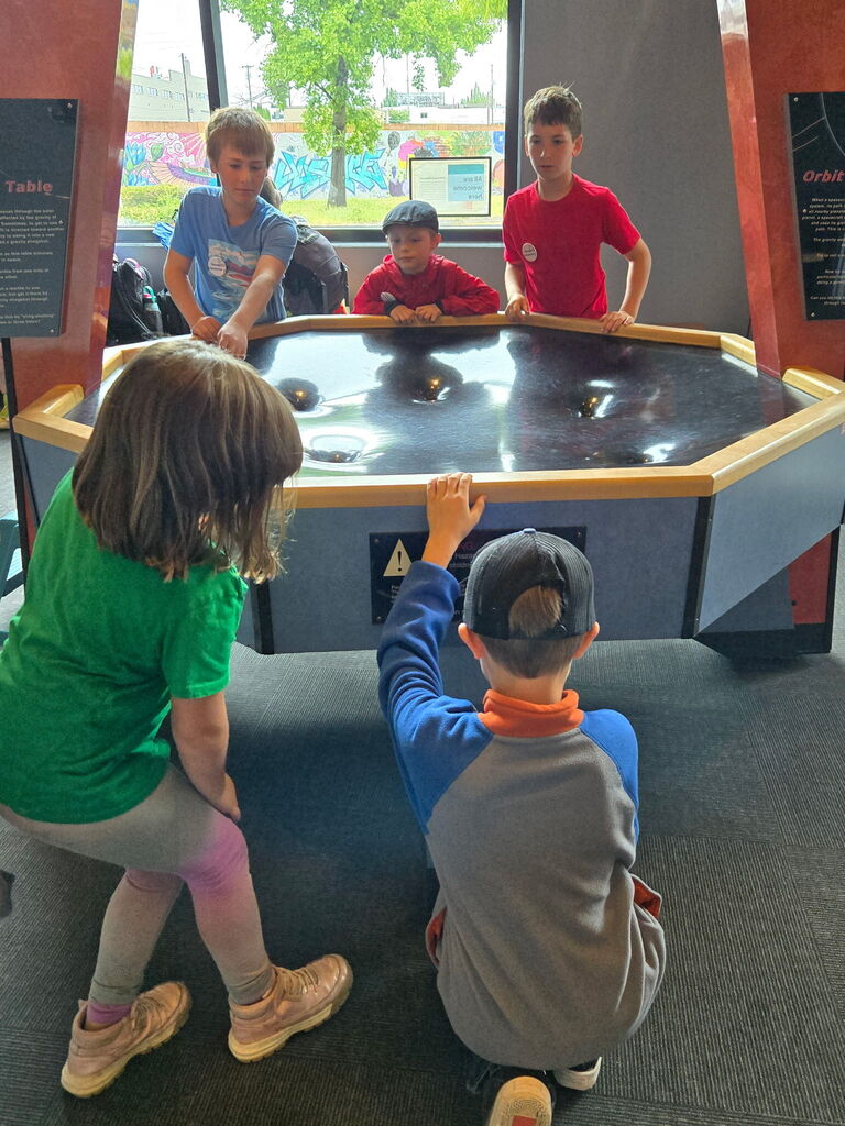 OMSI pictures