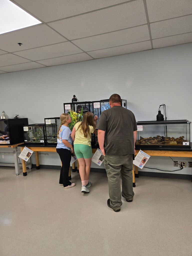 OMSI pictures