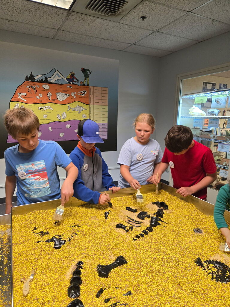 OMSI pictures