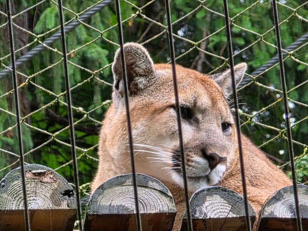 Portland Zoo