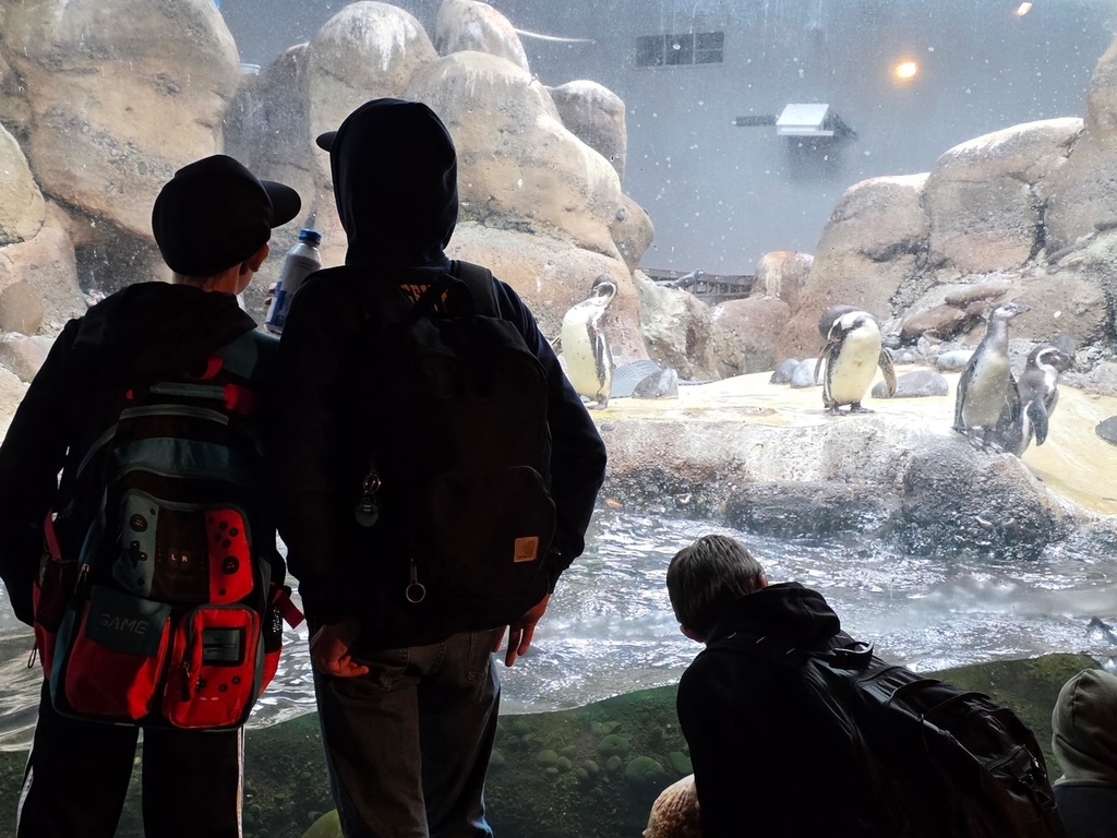 Portland Zoo
