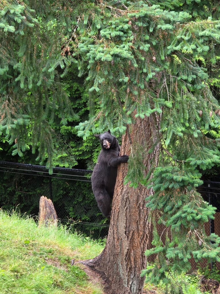 Portland Zoo
