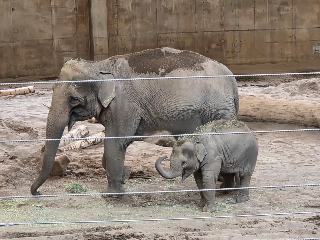 Portland Zoo