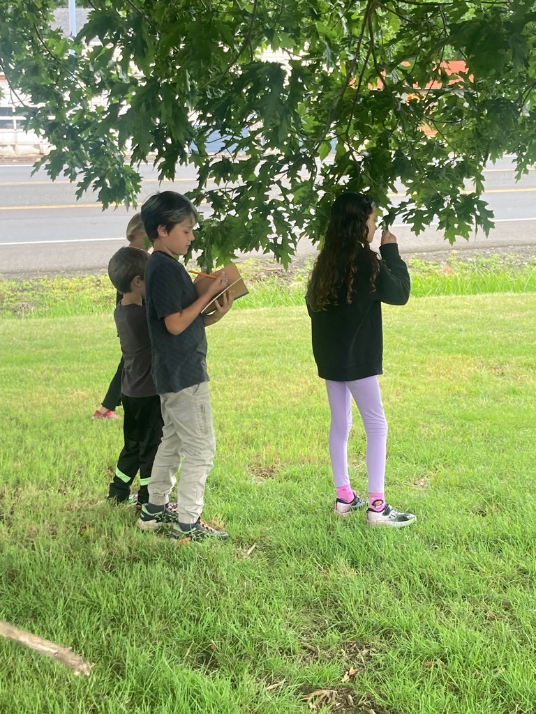 Summer REACH Program