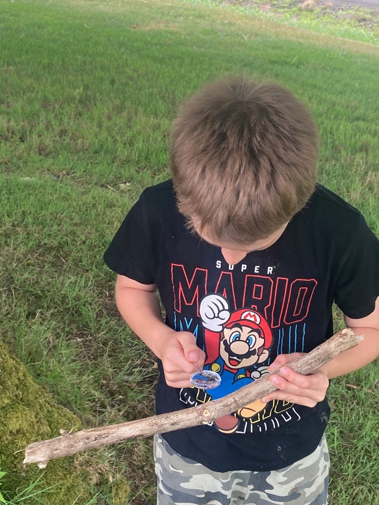 Summer REACH Program