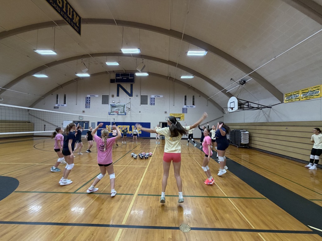 Comet Volleyball Camp