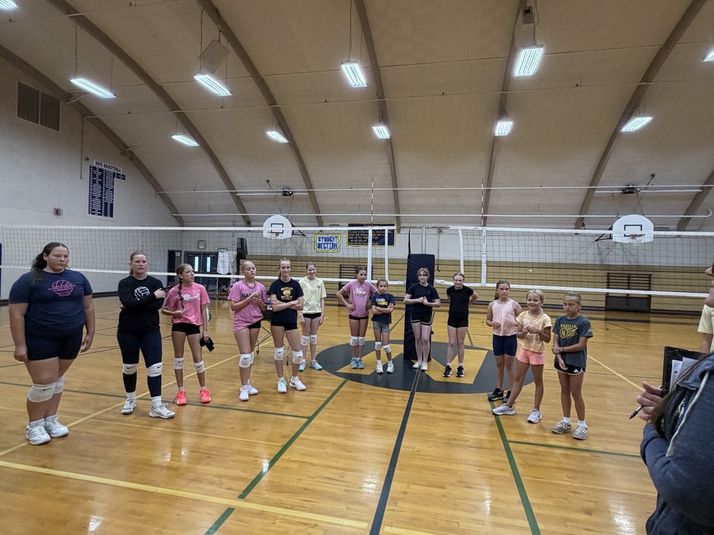 Comet Volleyball Camp