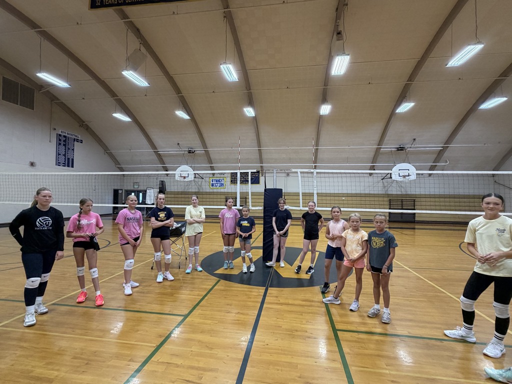 Comet Volleyball Camp