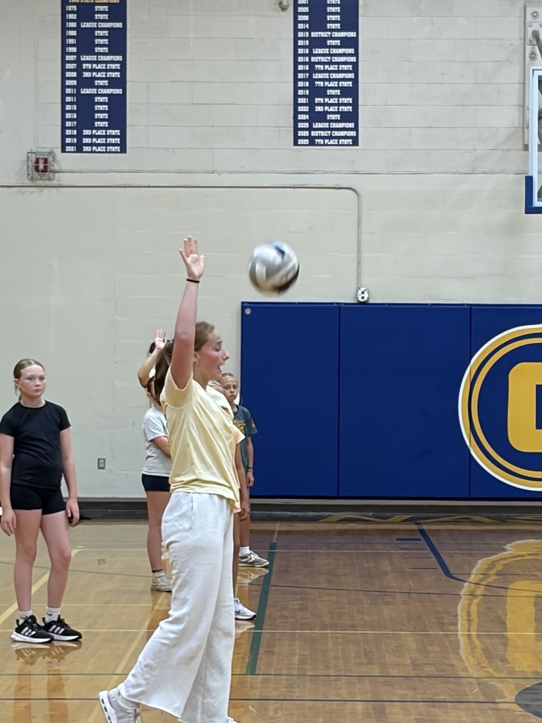 Comet Volleyball Camp