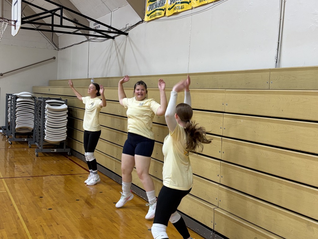 Comet Volleyball Camp