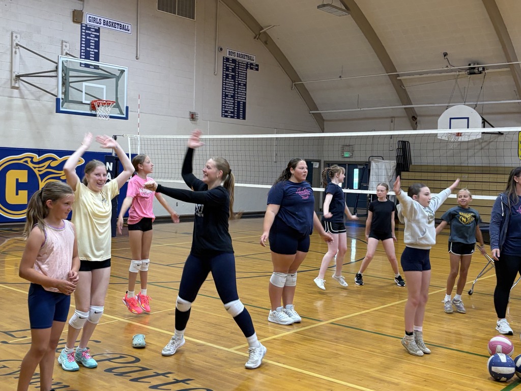 Comet Volleyball Camp