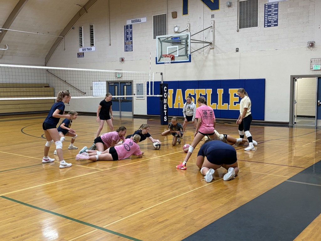 Comet Volleyball Camp