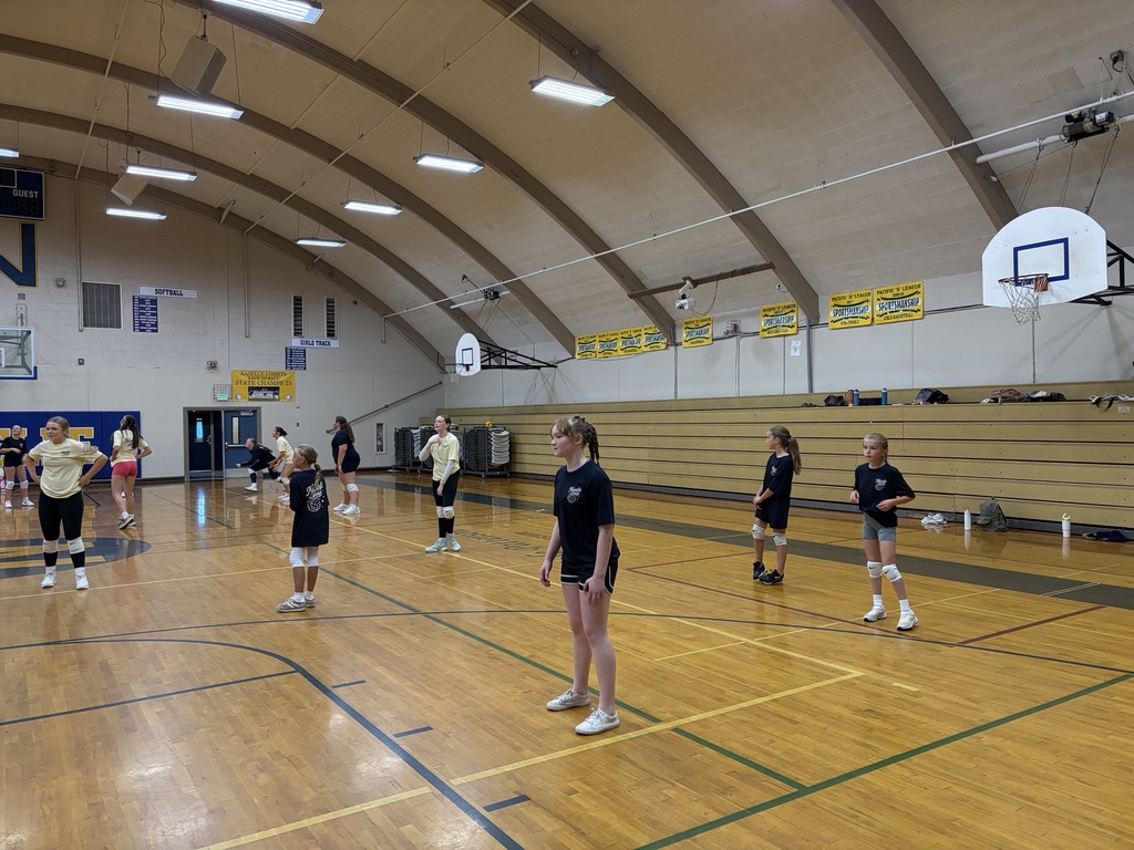 Comet Volleyball Camp