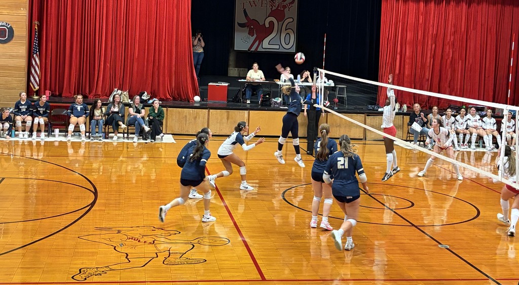 Comets Prevail Over the Mules