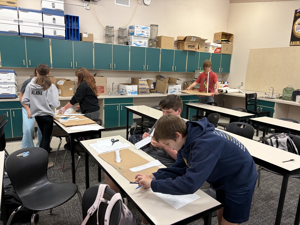8th Grade Paper Roller Coasters