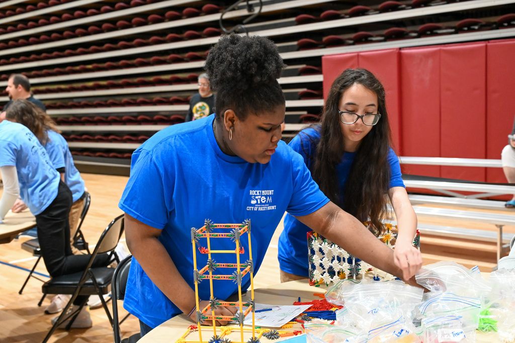 STEM design challenge