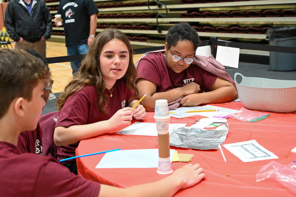 STEM design challenge