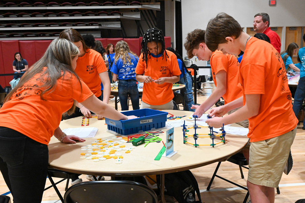 STEM design challenge