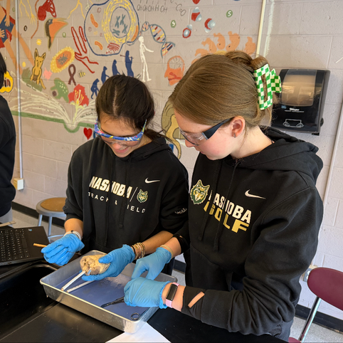 High School students participate in a science lab dissection.