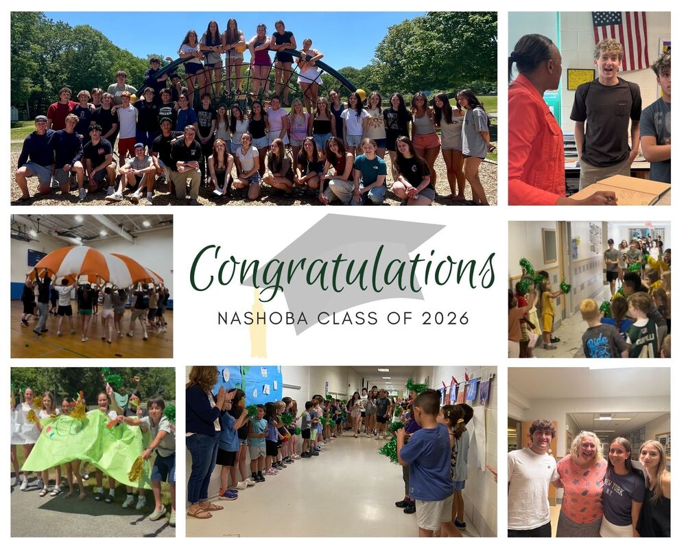 NRHS seniors visiting their elemtnarys chools.