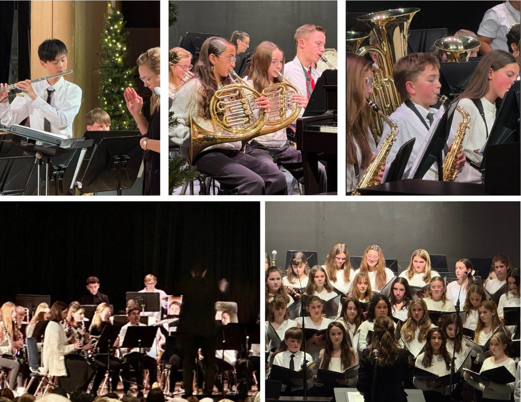 Collage of images from the middle school Winter Concerts at LBMS and FSS.