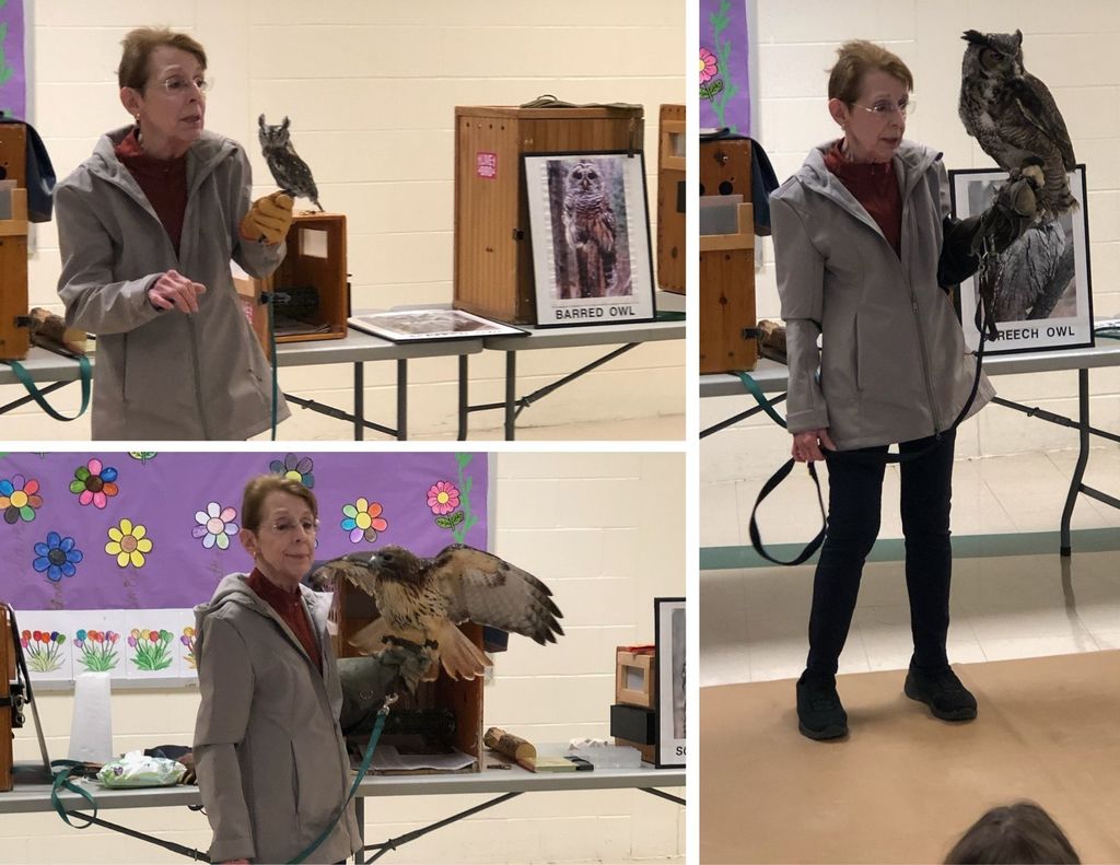 A representative from Wingmasters shows a group of MRE students three different live owls.