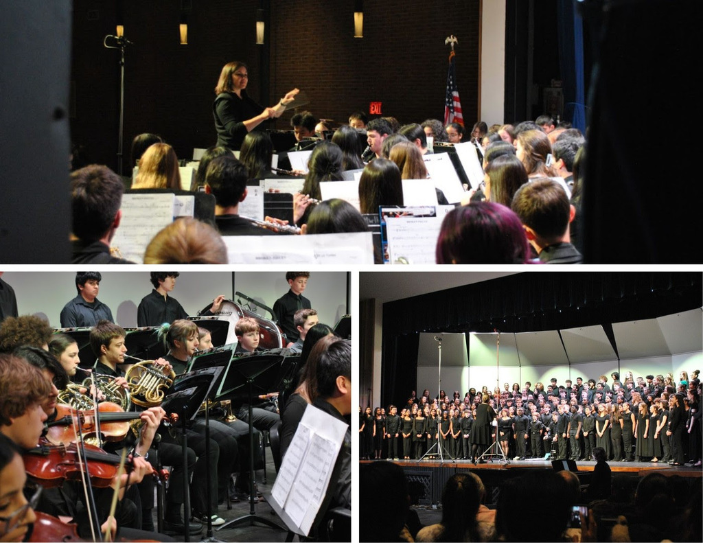 NRSD students perform instruments on stage with the CDMMEA Jr District Festival Band.