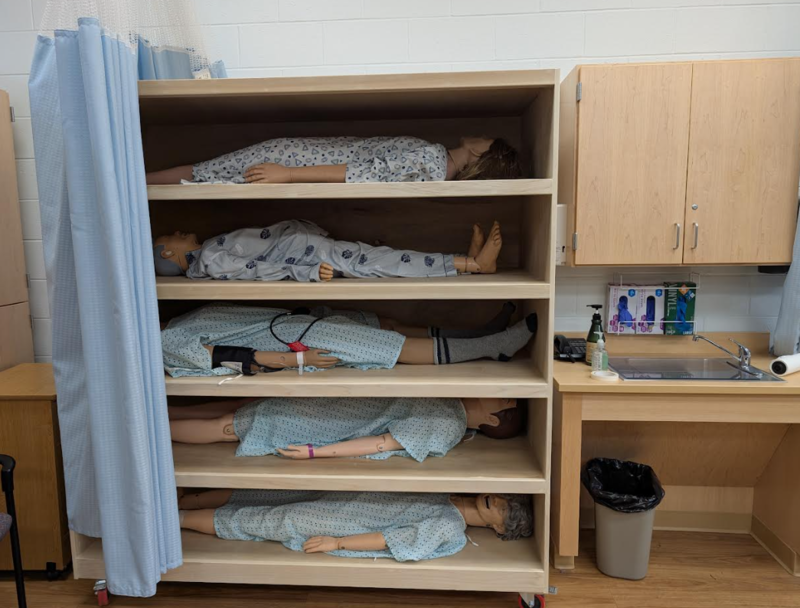 NT Health Assiting - Carpenty Shelf