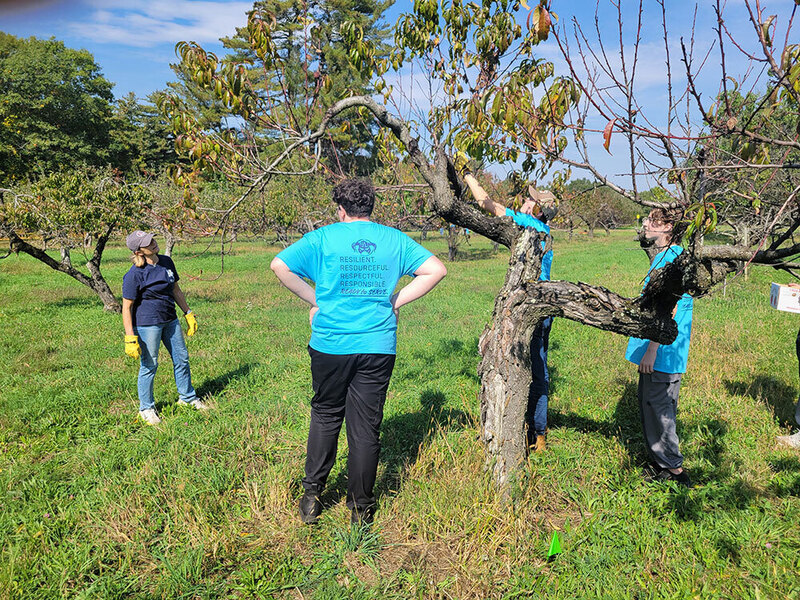 Kate Hawkins, Vocational/Technical Coordinator for Nashoba Tech, oversees as Callum Hoos of Ayer, Easton Calderwood of Shirley and Christopher Cantwell of Shirley clear a tree at Hill Orchard to prepare for next year’s harvest during the freshman Day of Service on October 2.