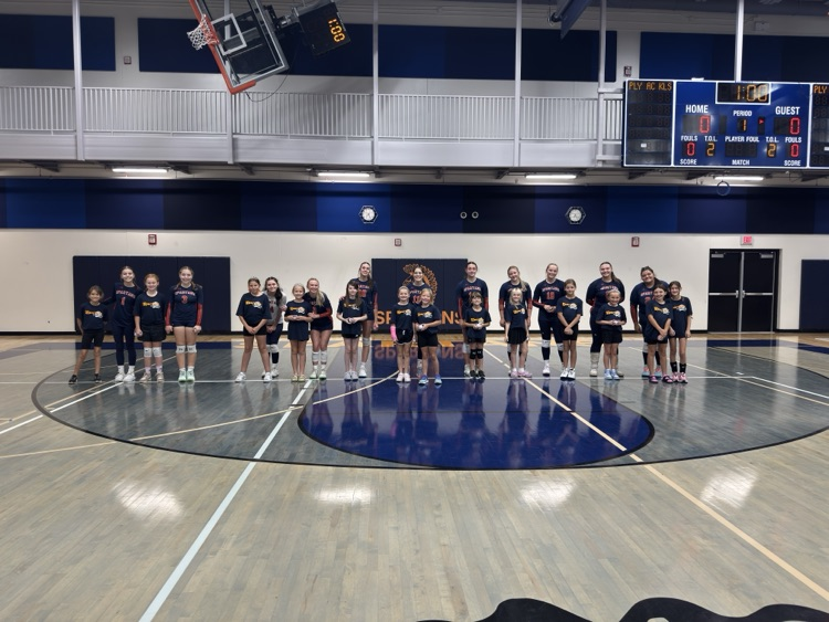 vb