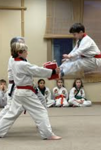 Tang Soo Do