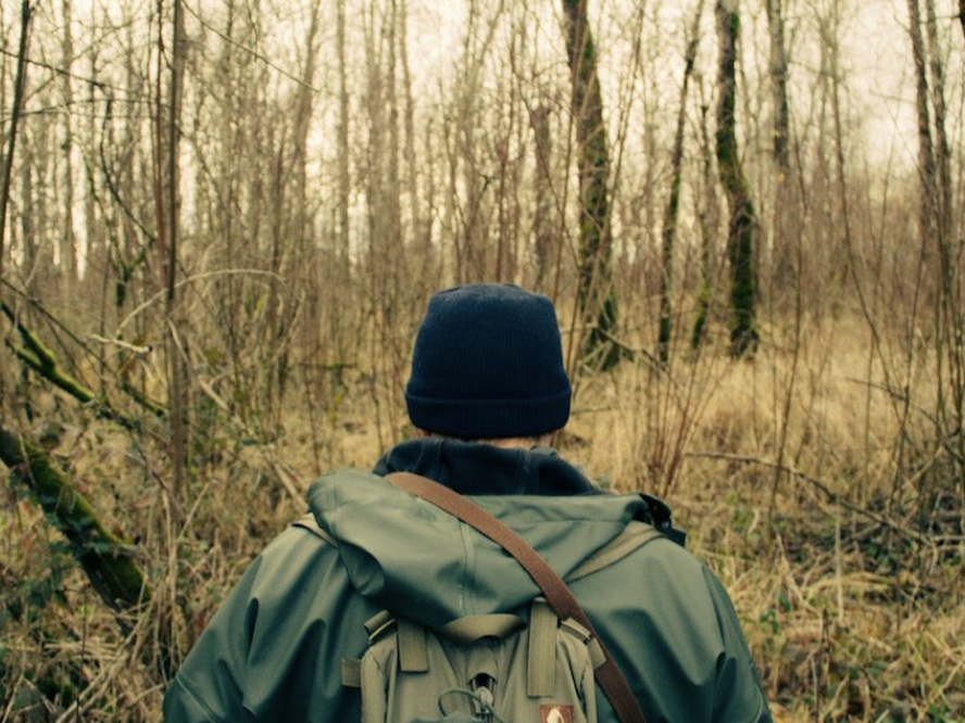 How to survive in the woods